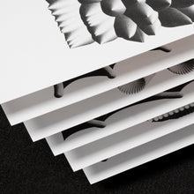 Load image into Gallery viewer, SPASS x Rejane Dal Bello | The Studies 003