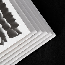 Load image into Gallery viewer, SPASS x Rejane Dal Bello | The Studies 003